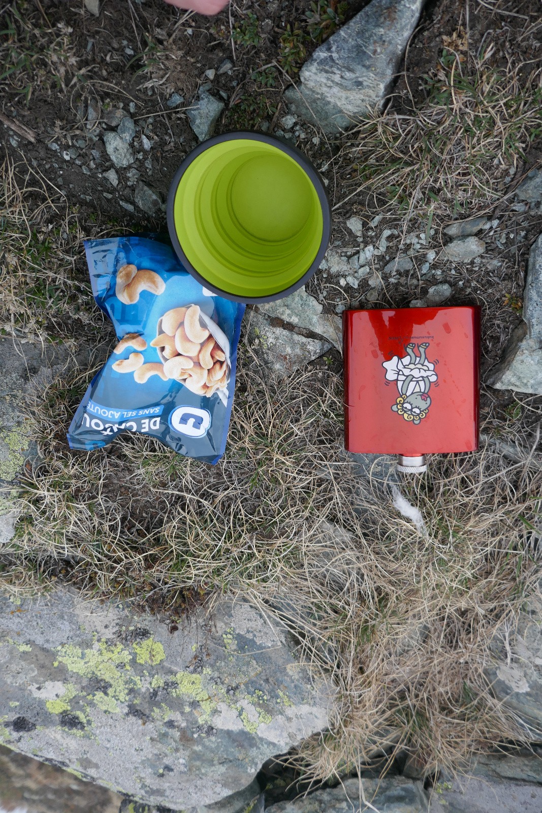 Mes compagnons du jour 