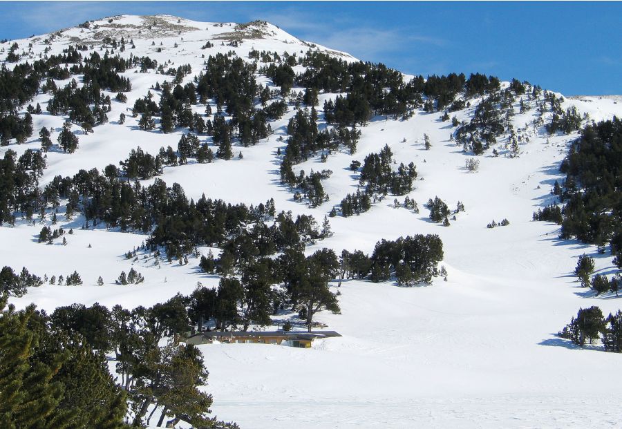 Refuge des Camporells : Jean Brice le gardien se cache derrière un beau mur de neige .