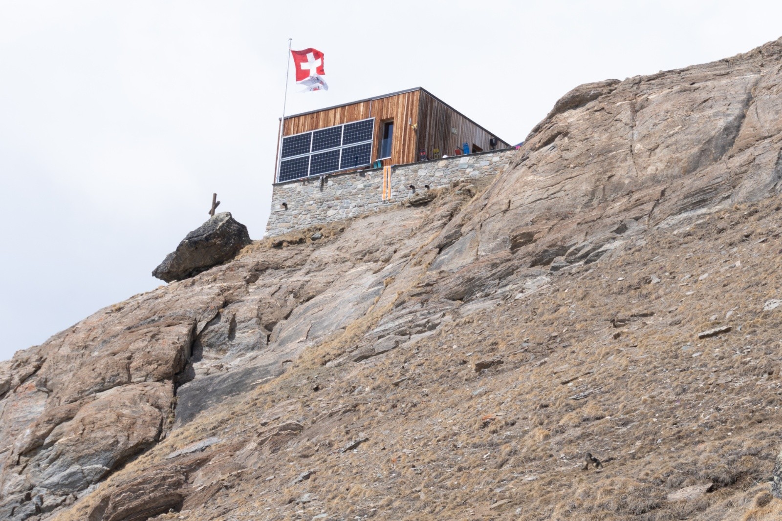 Täschhütte, combat de marmotte en bas à droite&nbsp;