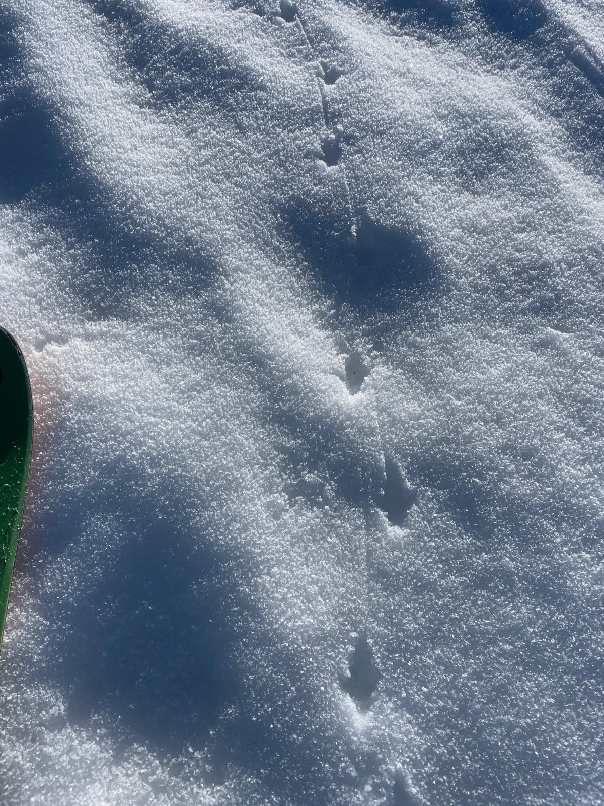 Traces des habitants des hauts de Fontenettes