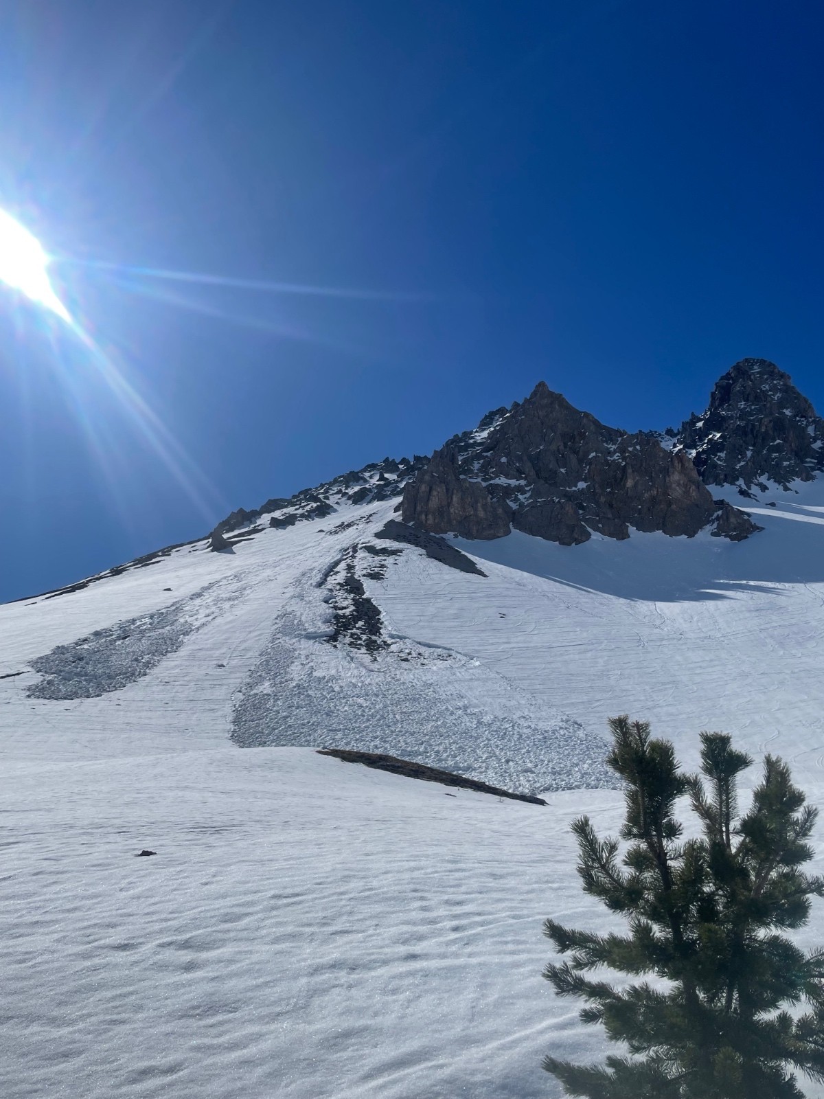 &nbsp;vieille avalanche de neige humide jusqu'au sol
