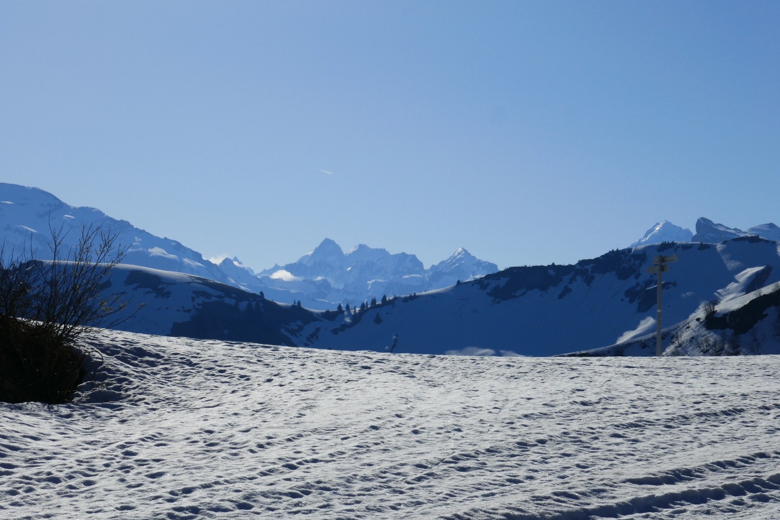 Chardonnet et Aiguille d'Argentière