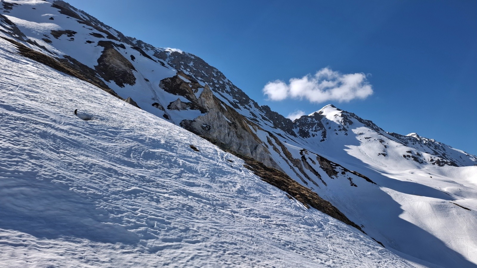 Première marmotte&nbsp;