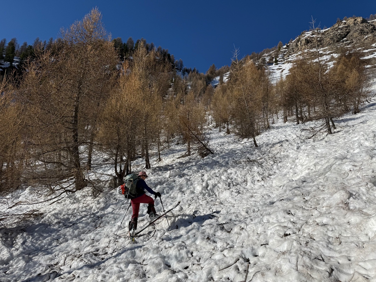 Avalanche dans les mélèzes