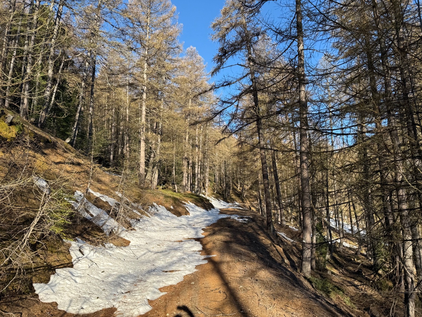 On s’est garés juste avant