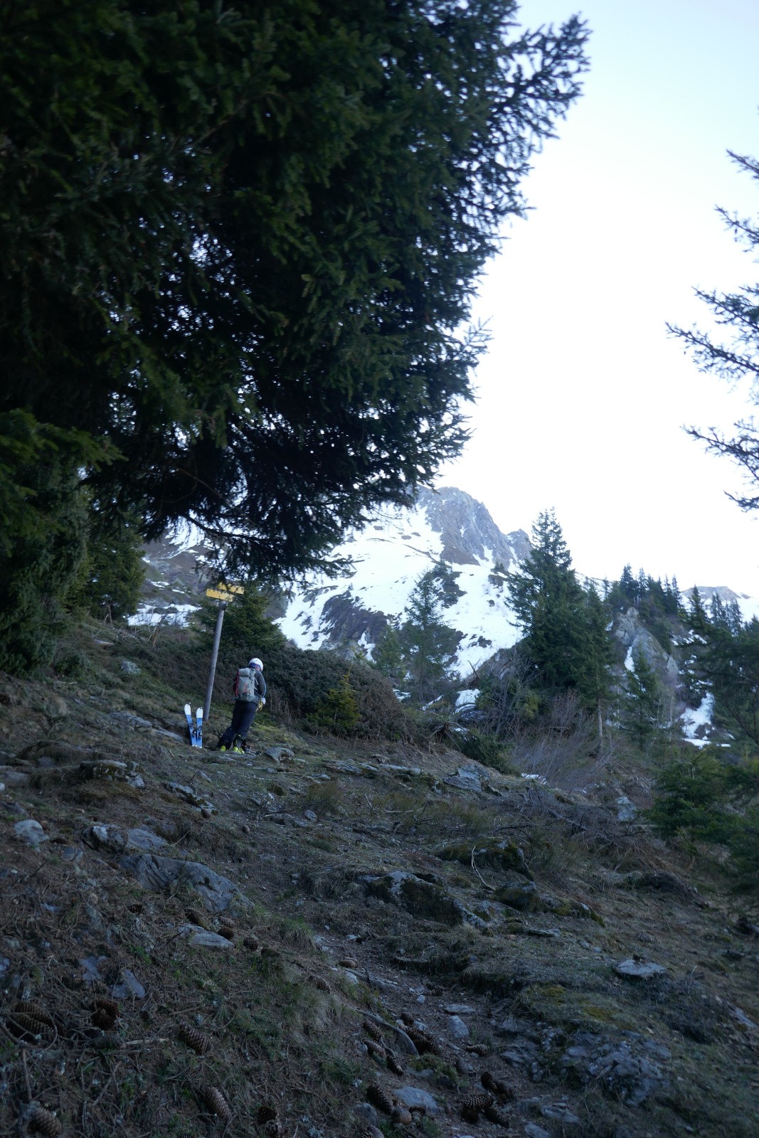 En fait non, y a plus de neige !&nbsp; 