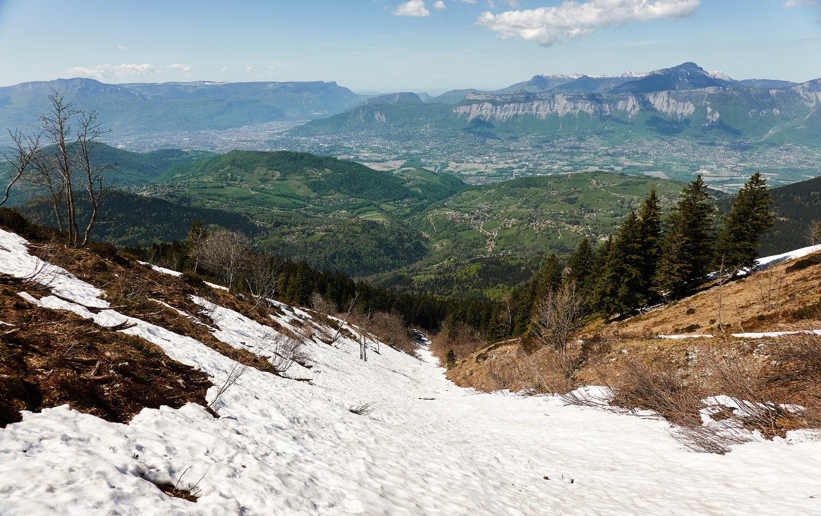 Le string s'enfonce progressivement en forêt...