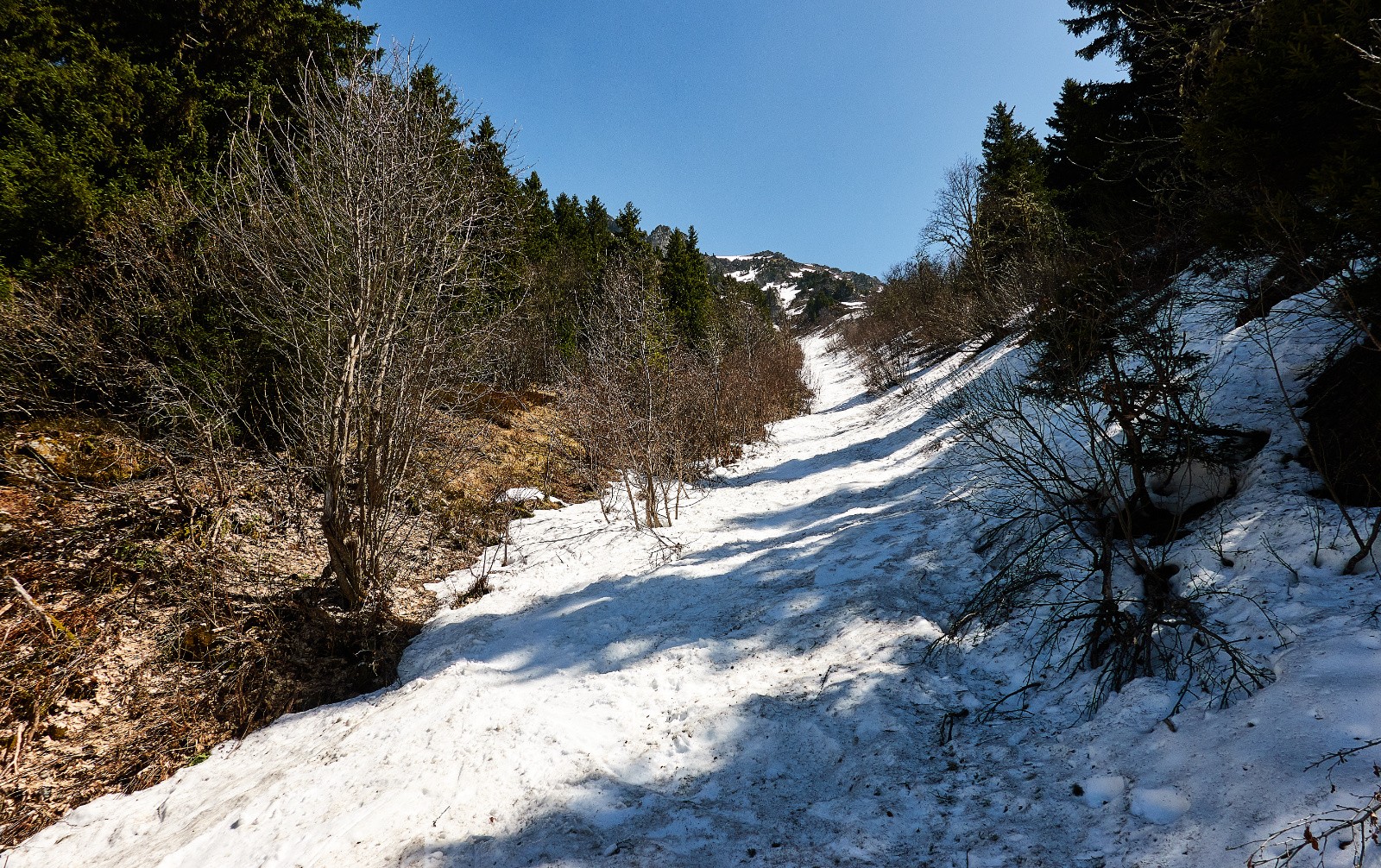 Bon enneigement sur le bas...