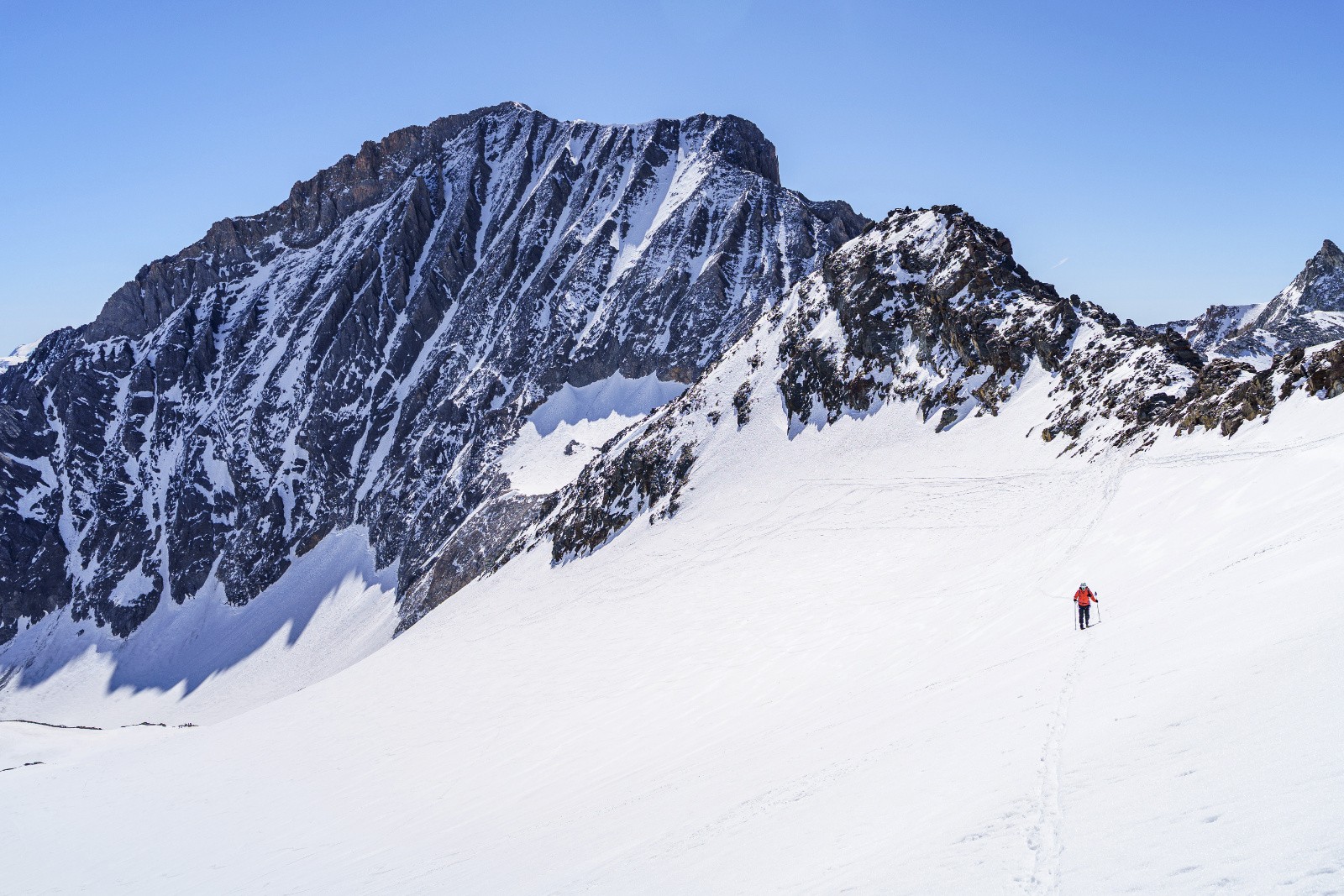Dent Parrachée en toile de fond