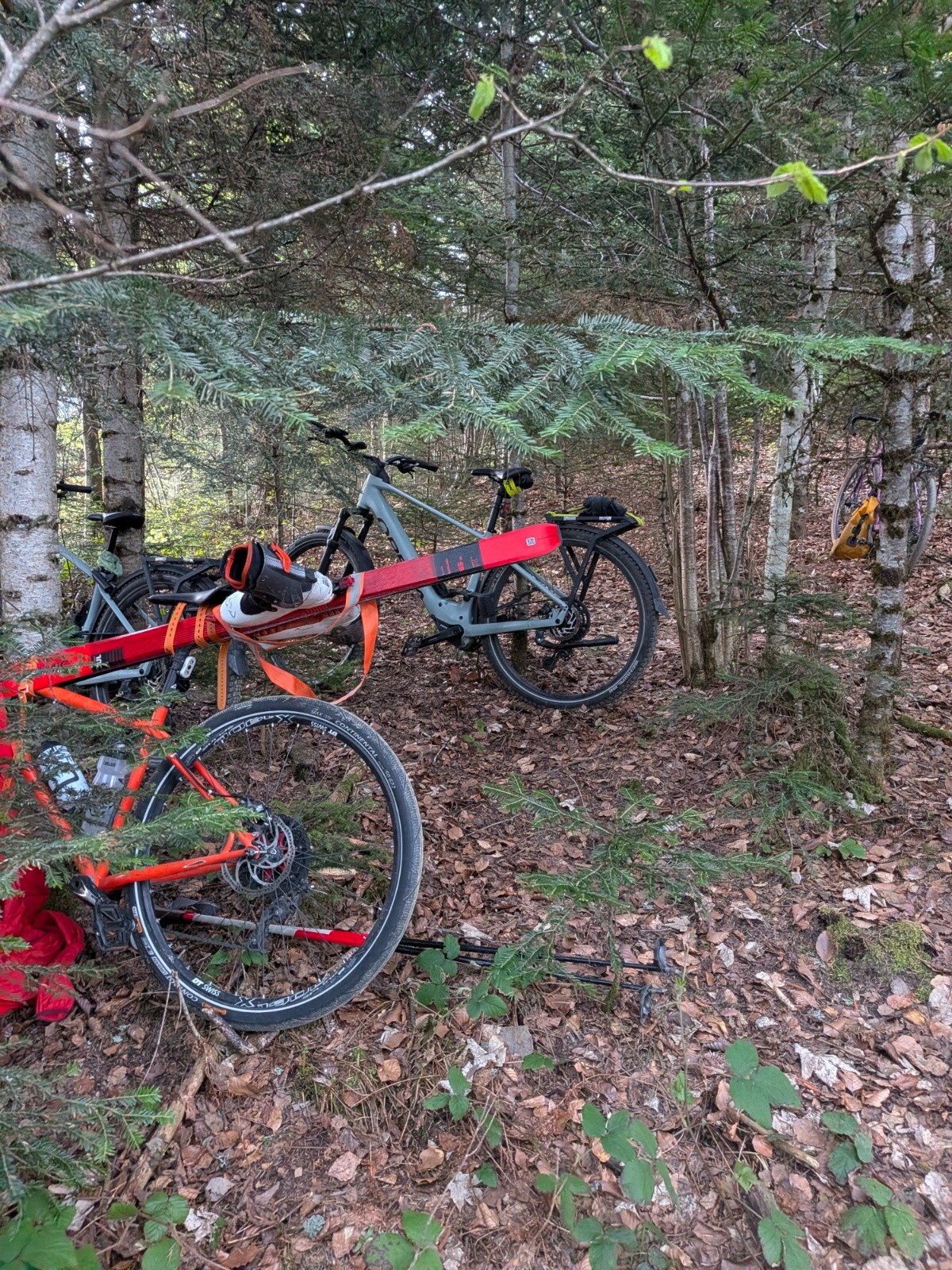 Du monde au parking !