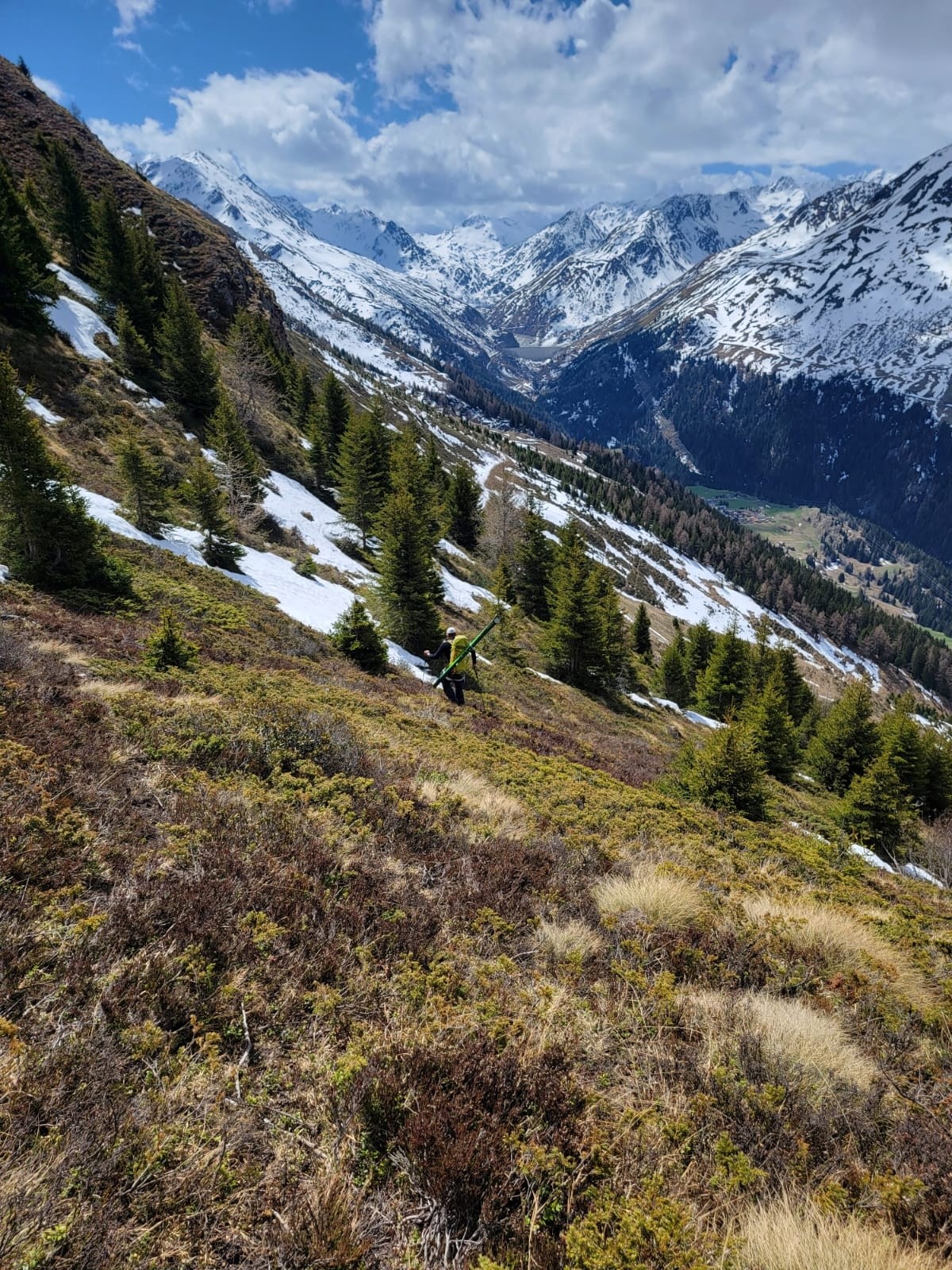 &nbsp;C'est le printemps