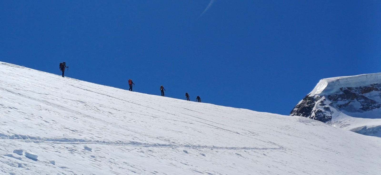 &nbsp;Tournelon Blanc