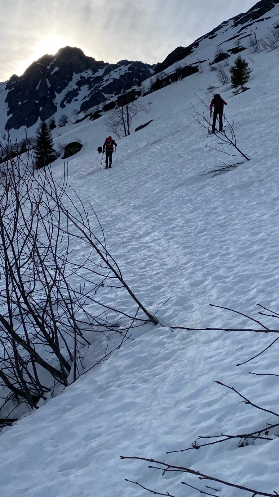 &nbsp;Les vernes sous le verrou de l’Eveque&nbsp;