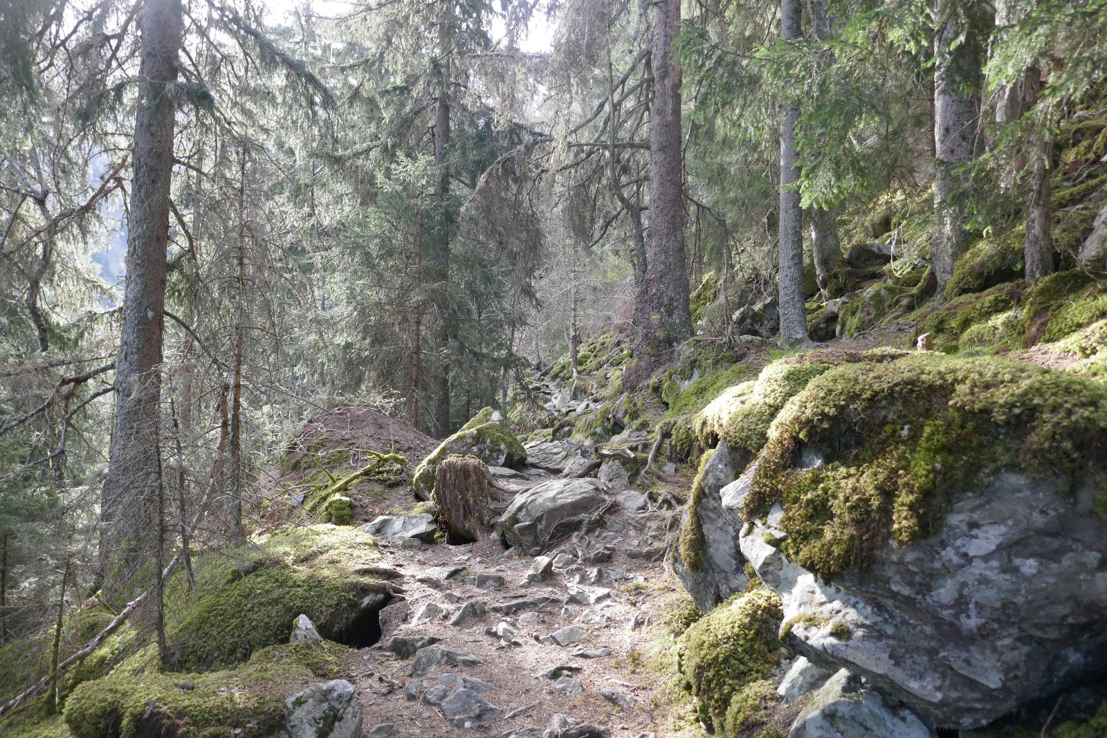 Allons nous skier ?&nbsp; 