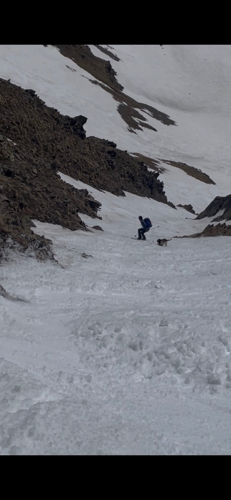 un chien très sportif dans le couloir de descente!