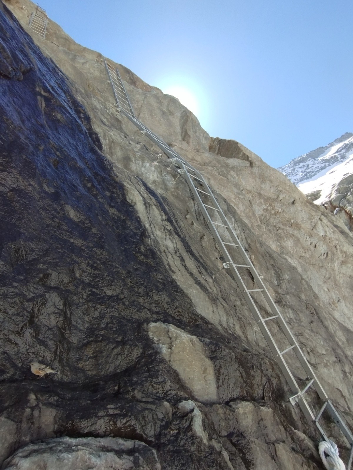 Les fameuses échelles&nbsp;