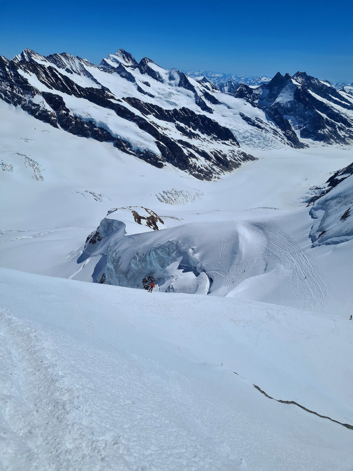 Face décaillée de la Jungfrau à 11h15 , Augustin se régale&nbsp;