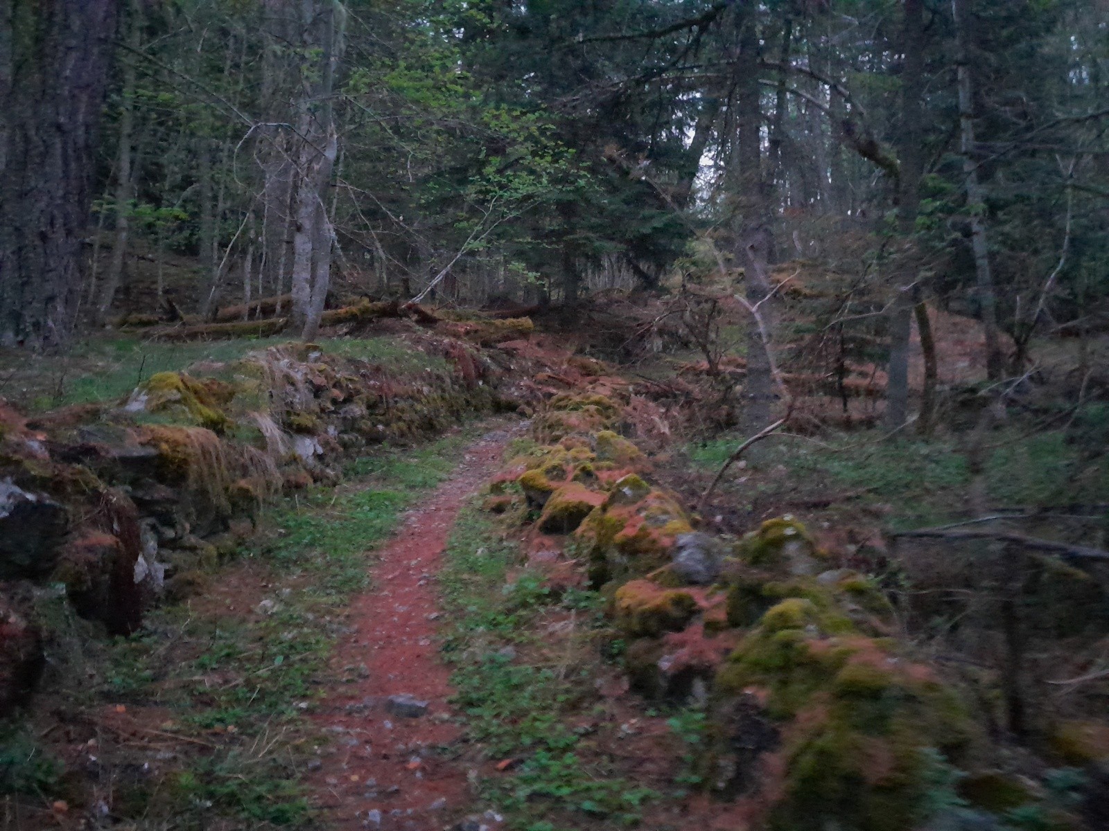 &nbsp;Longue mais belle marche
