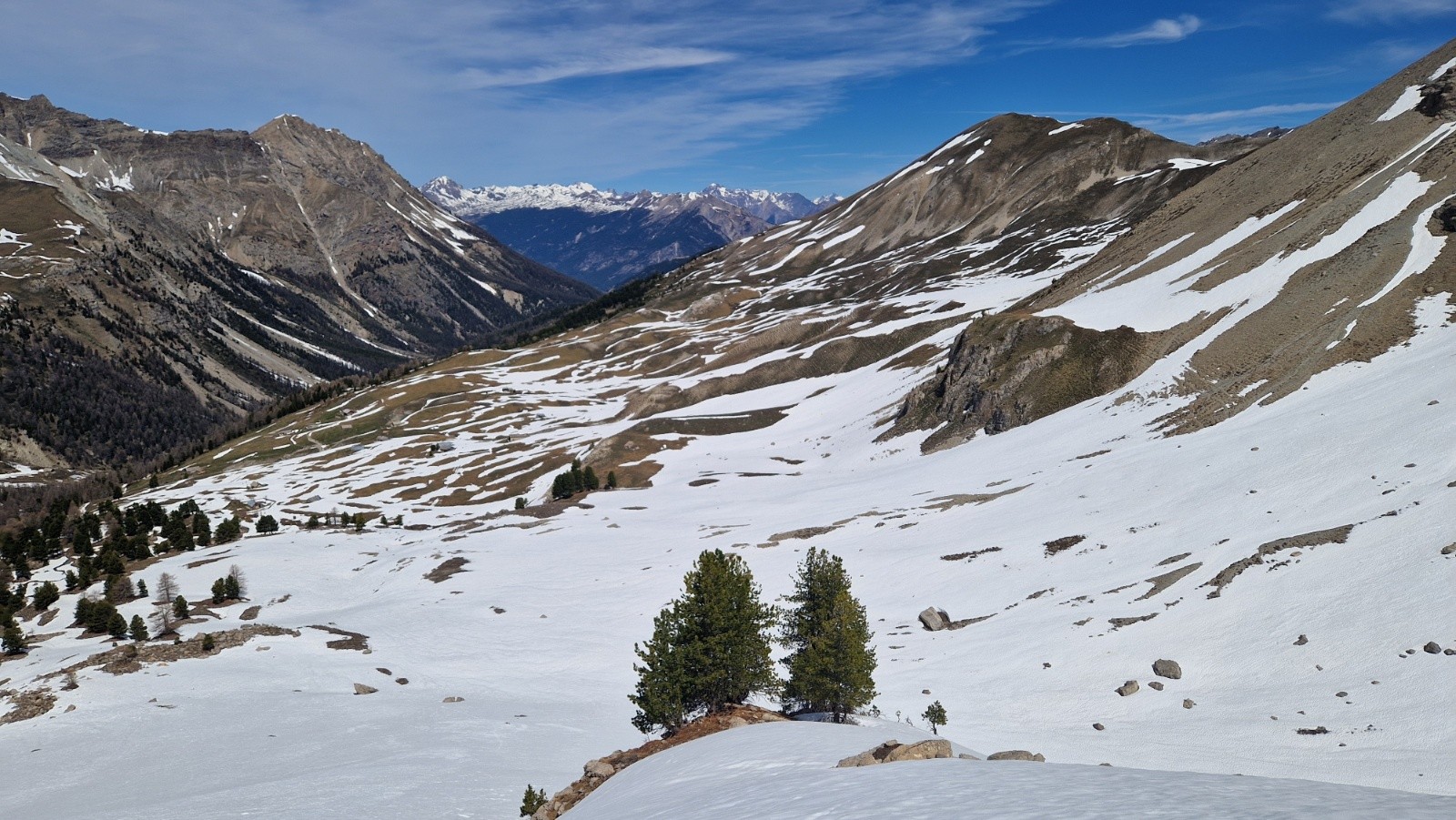 Bosquet d'altitude&nbsp;