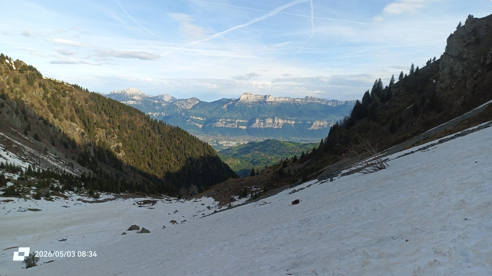 Chartreuse verte 