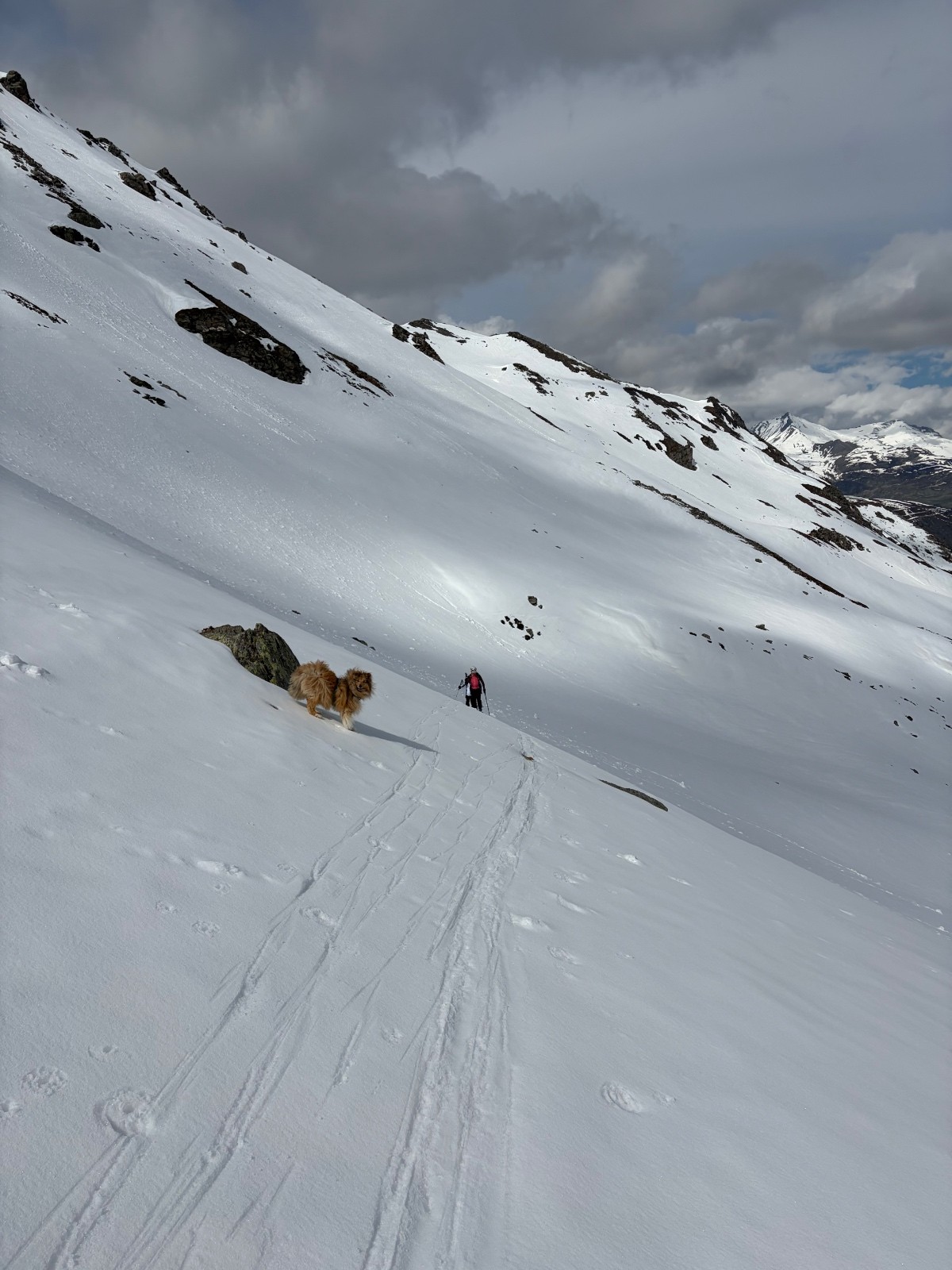 &nbsp;Dans le vallon inférieur : enneigement très correct&nbsp;