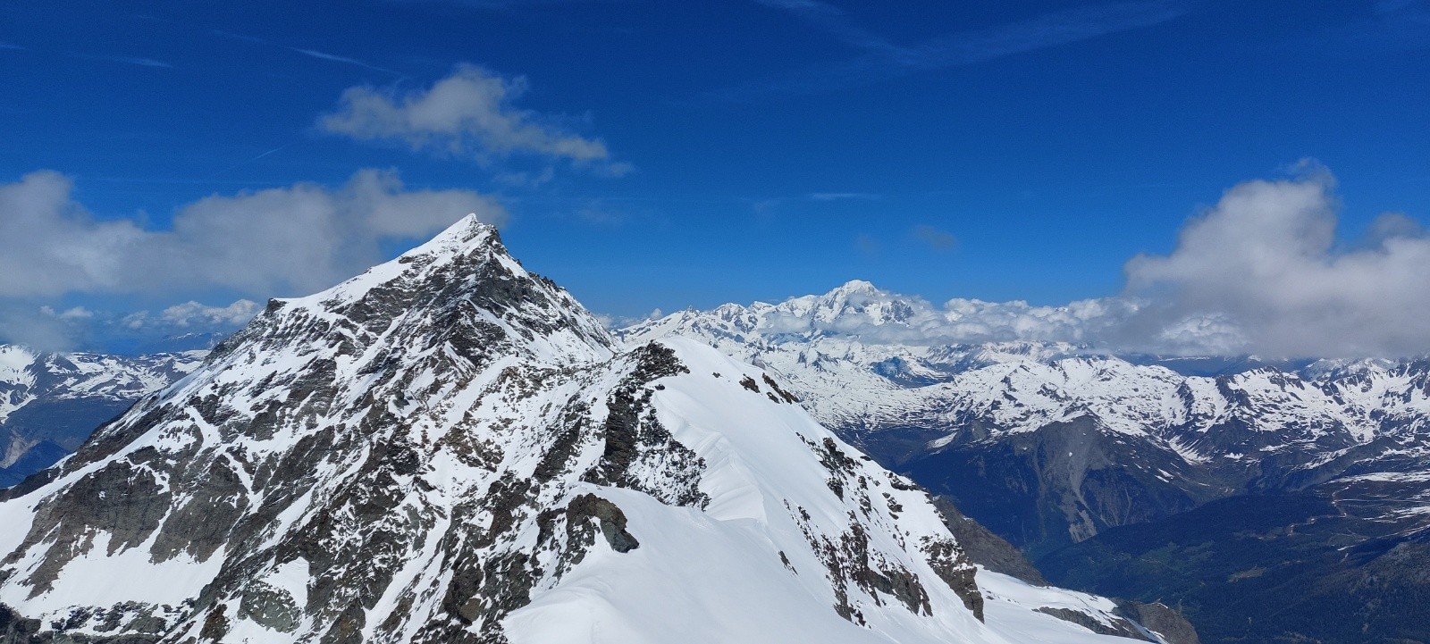 #24