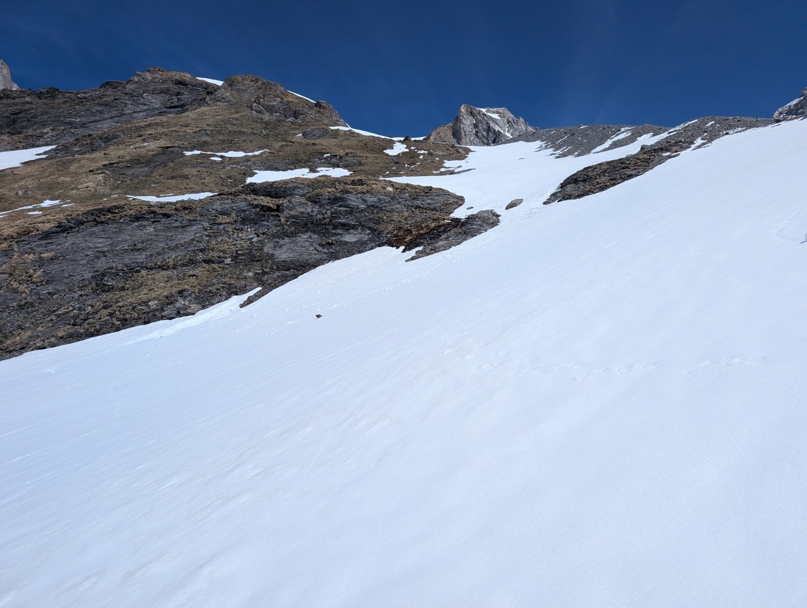 #17 marmotte marmotte