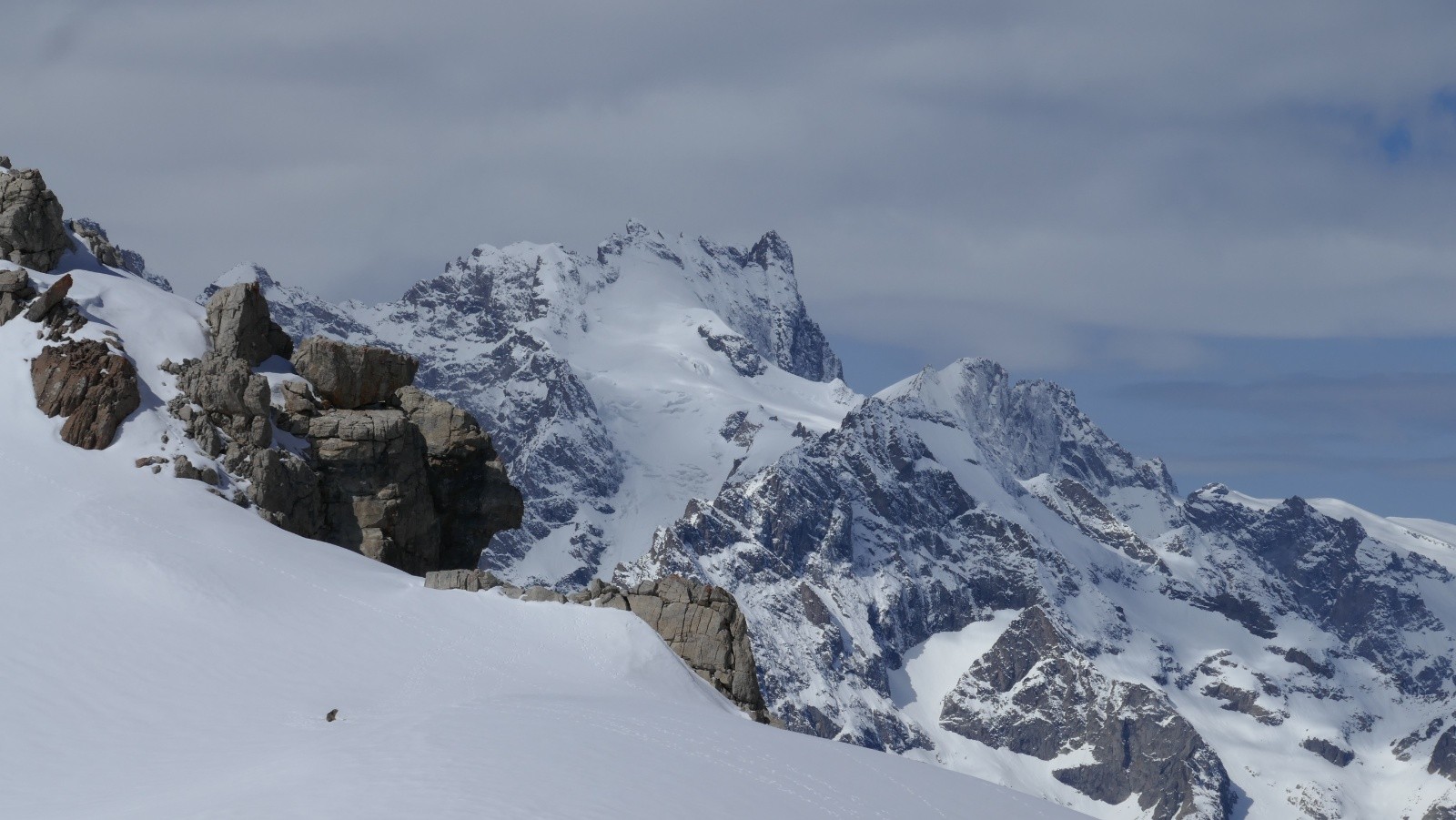 Marmotte devant la Reine Meije