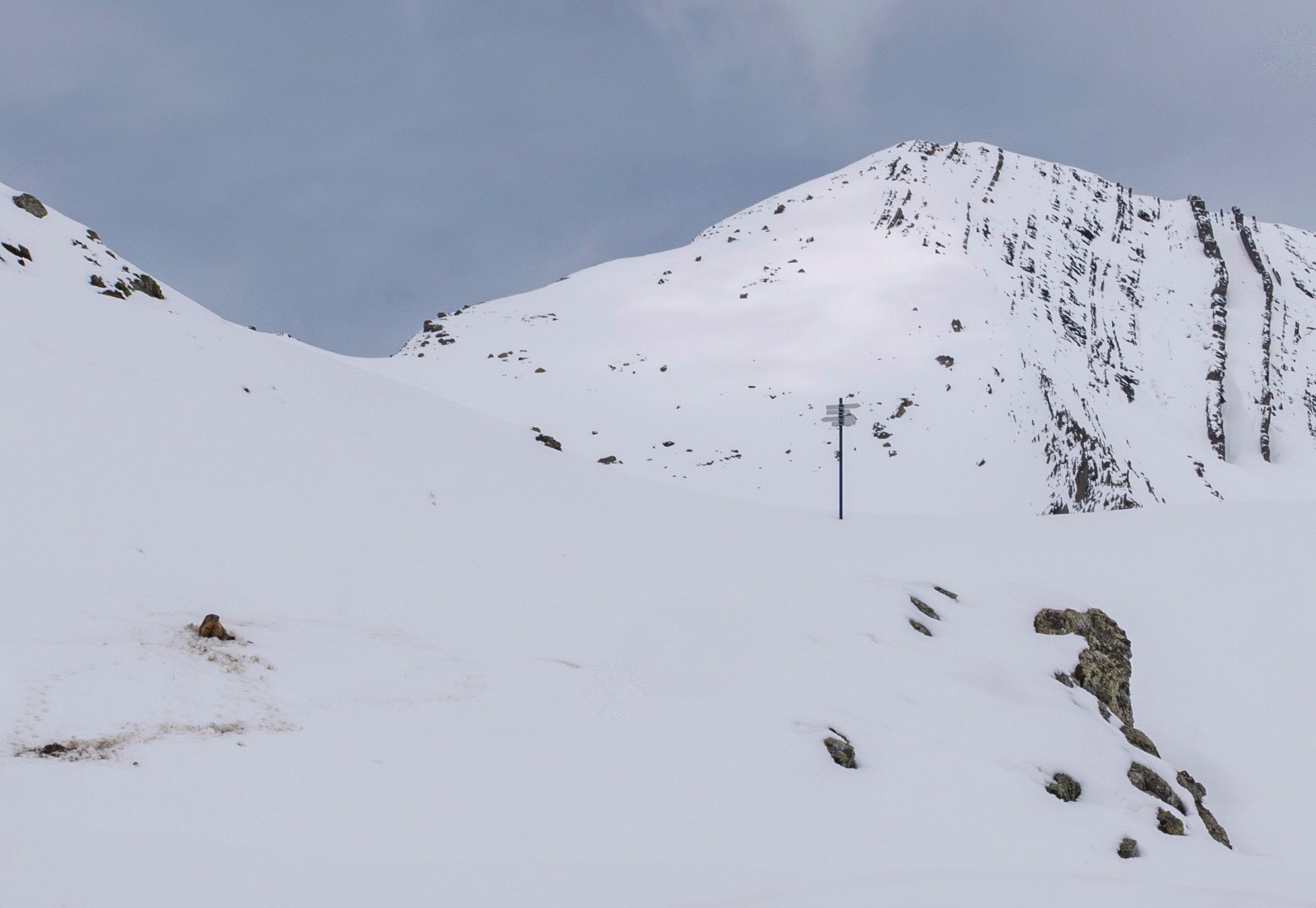 Croisé pas loin de 50 marmottes, mais pu en prendre en photo une seule, et de loin...&nbsp;
