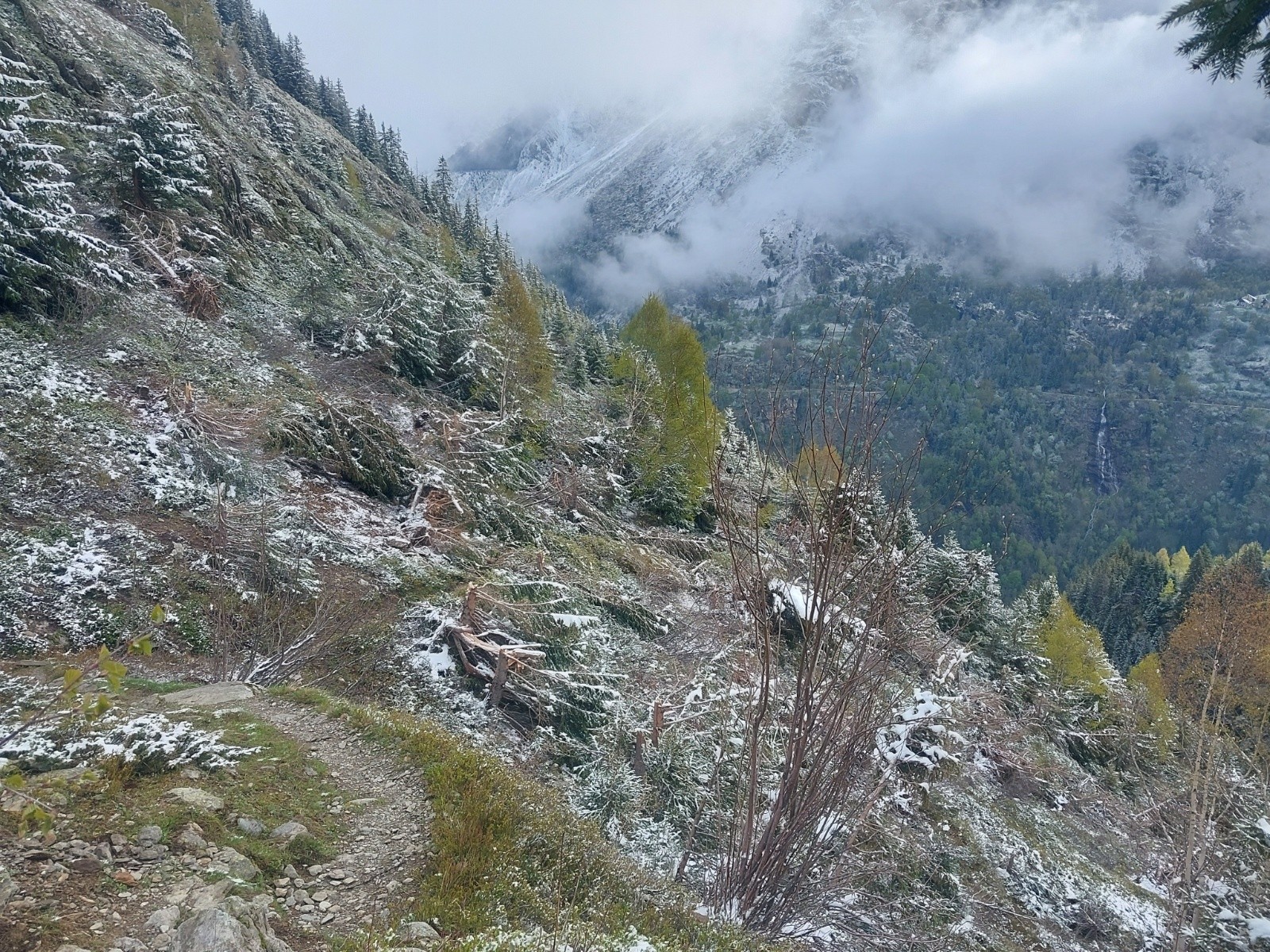 #1 un bon chantier en sortie de forêt un bon chantier en sortie de forêt