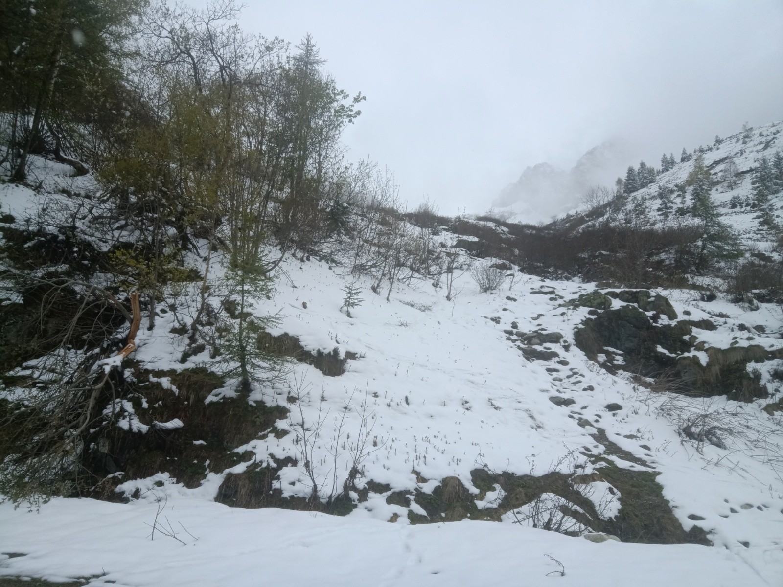 Bas du vallon un peu sec