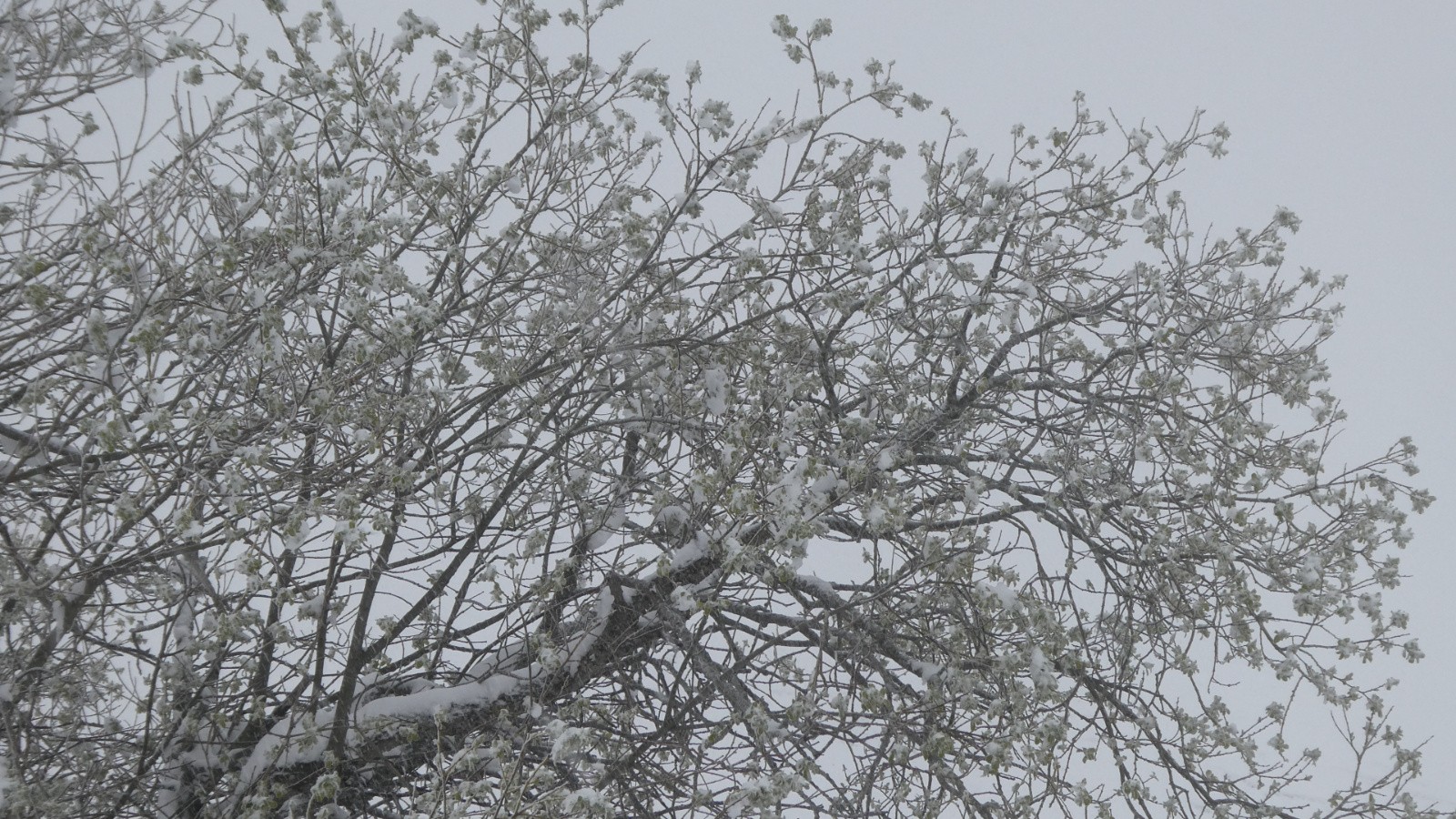 hiver à n'en point douter&nbsp;