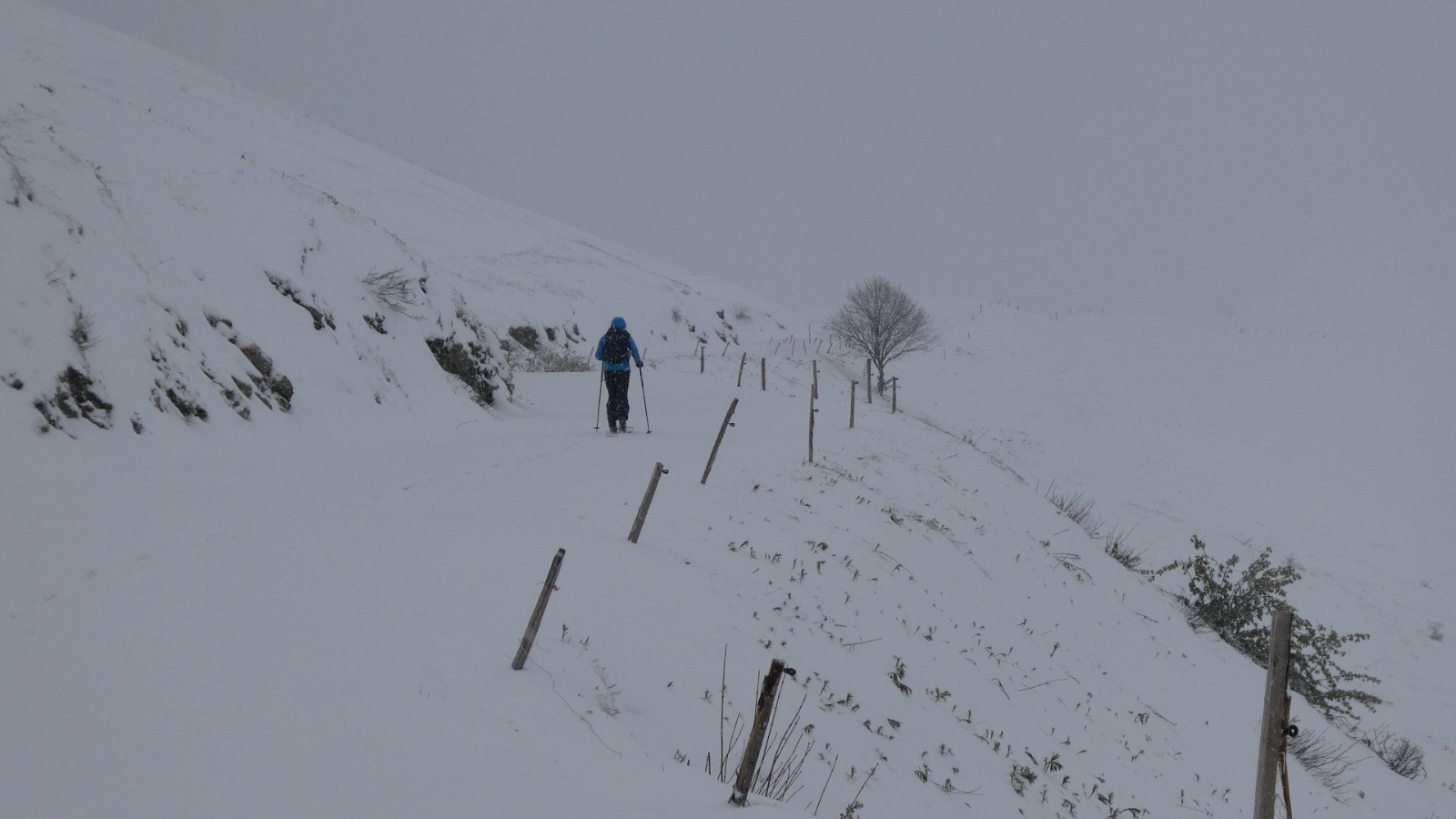 à l'approche de l'alpage