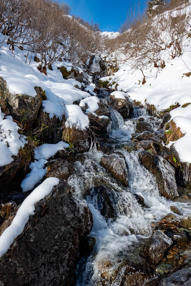 neige et printemps