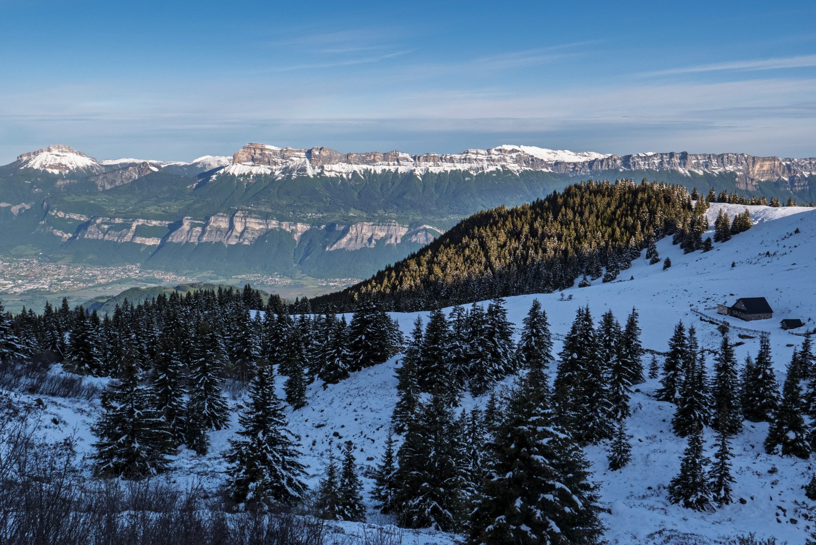 Chartreuse verte \