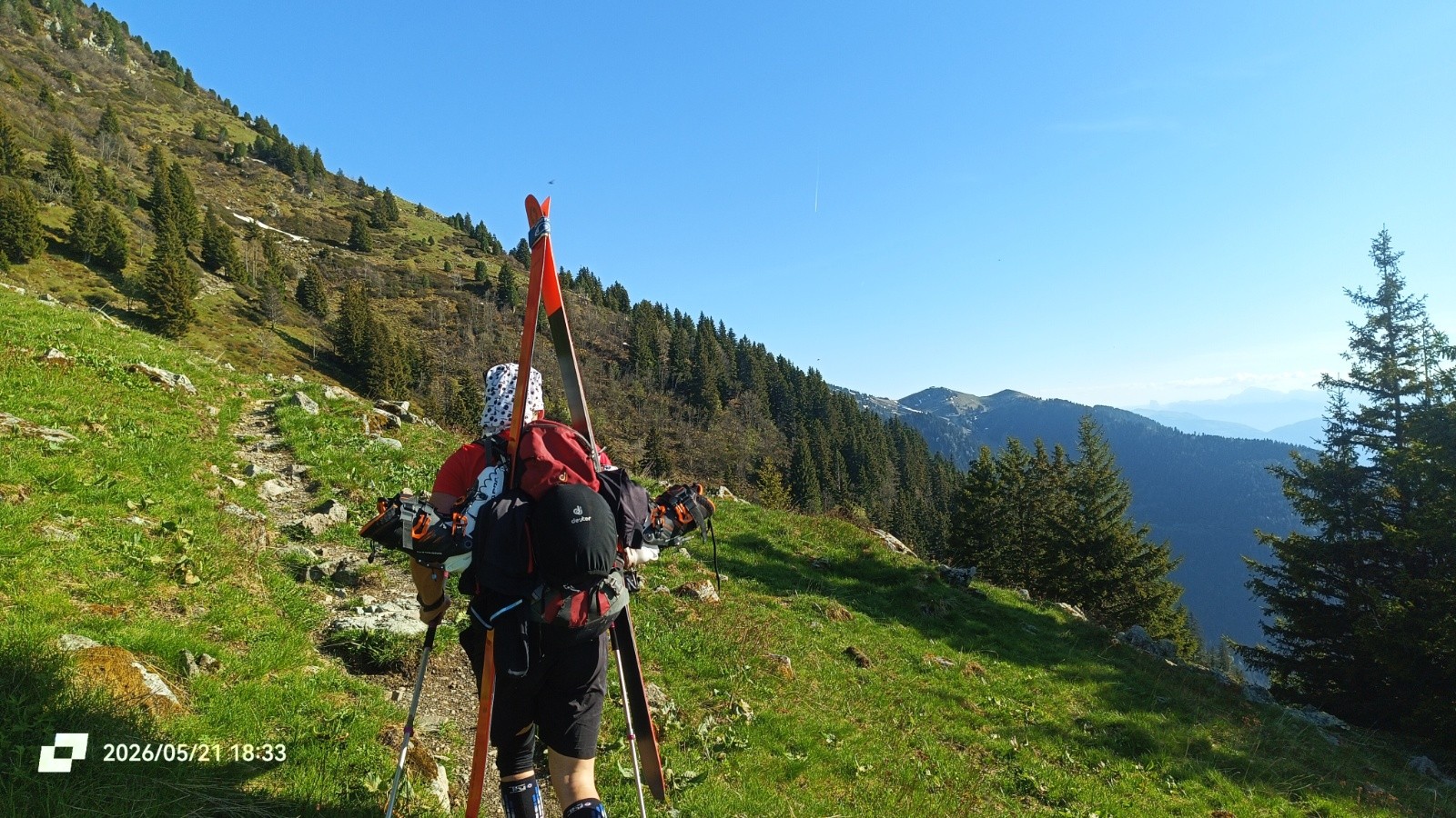 Sortie de forêt