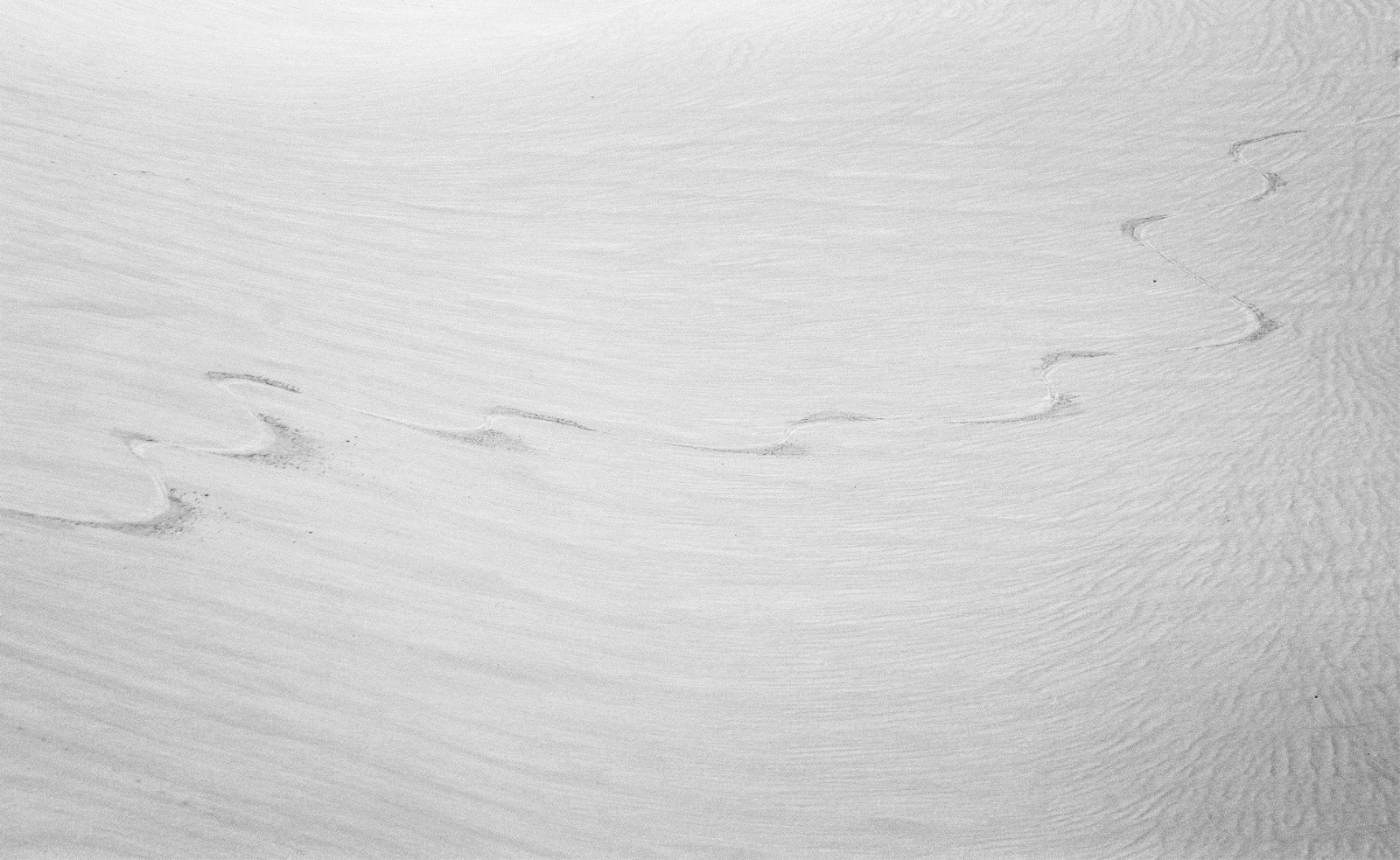 #30 une trace dans le vallon du Puy Gris une trace dans le vallon du Puy Gris
