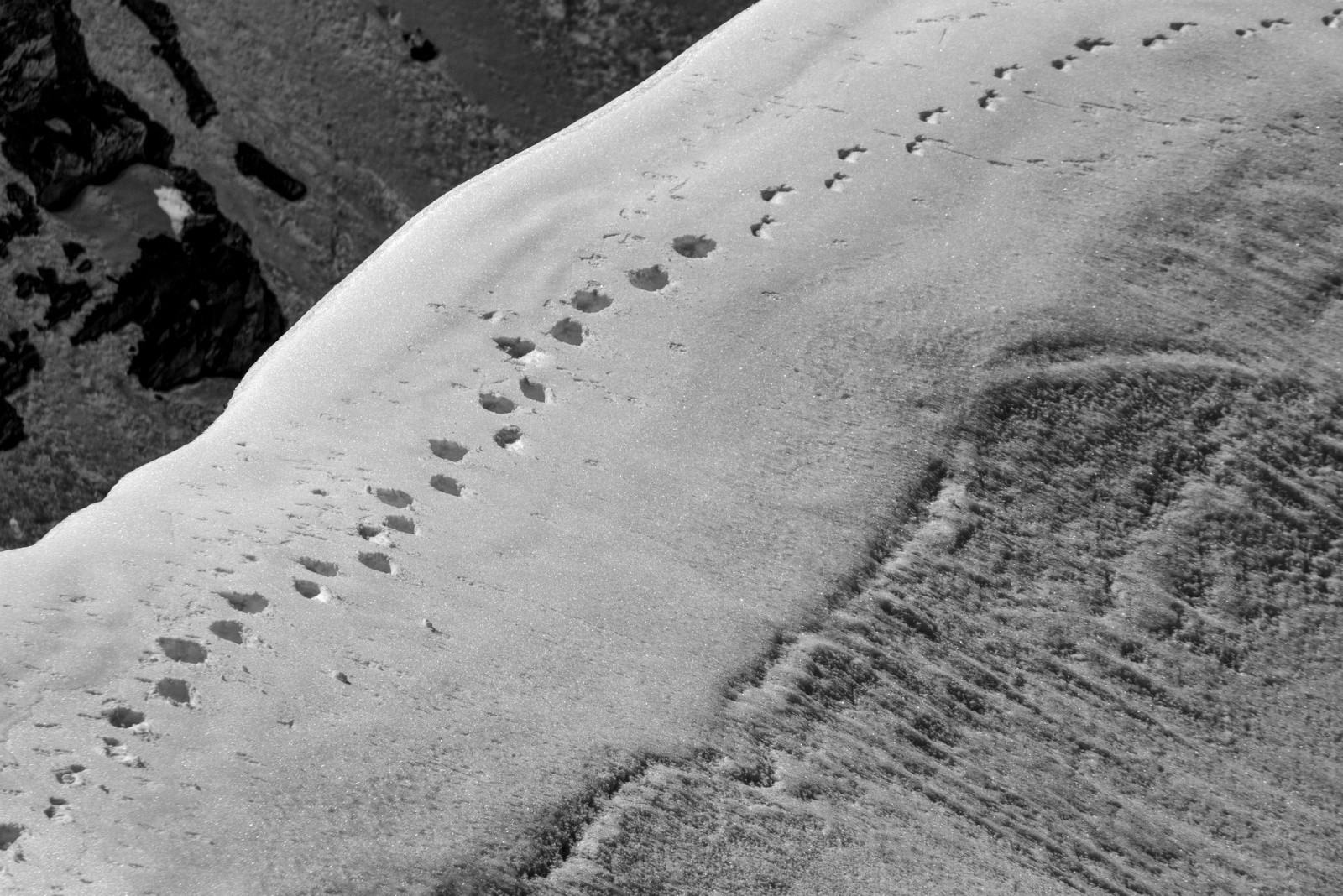 #32 arête au dessus du col arête au dessus du col