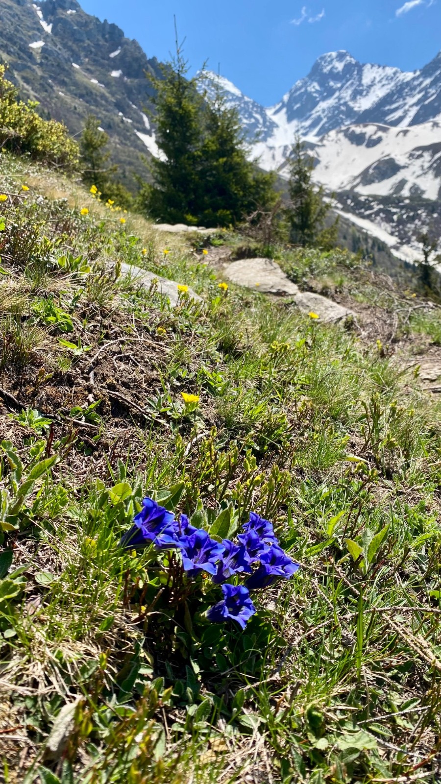 Col d’Arguille bien tentant !