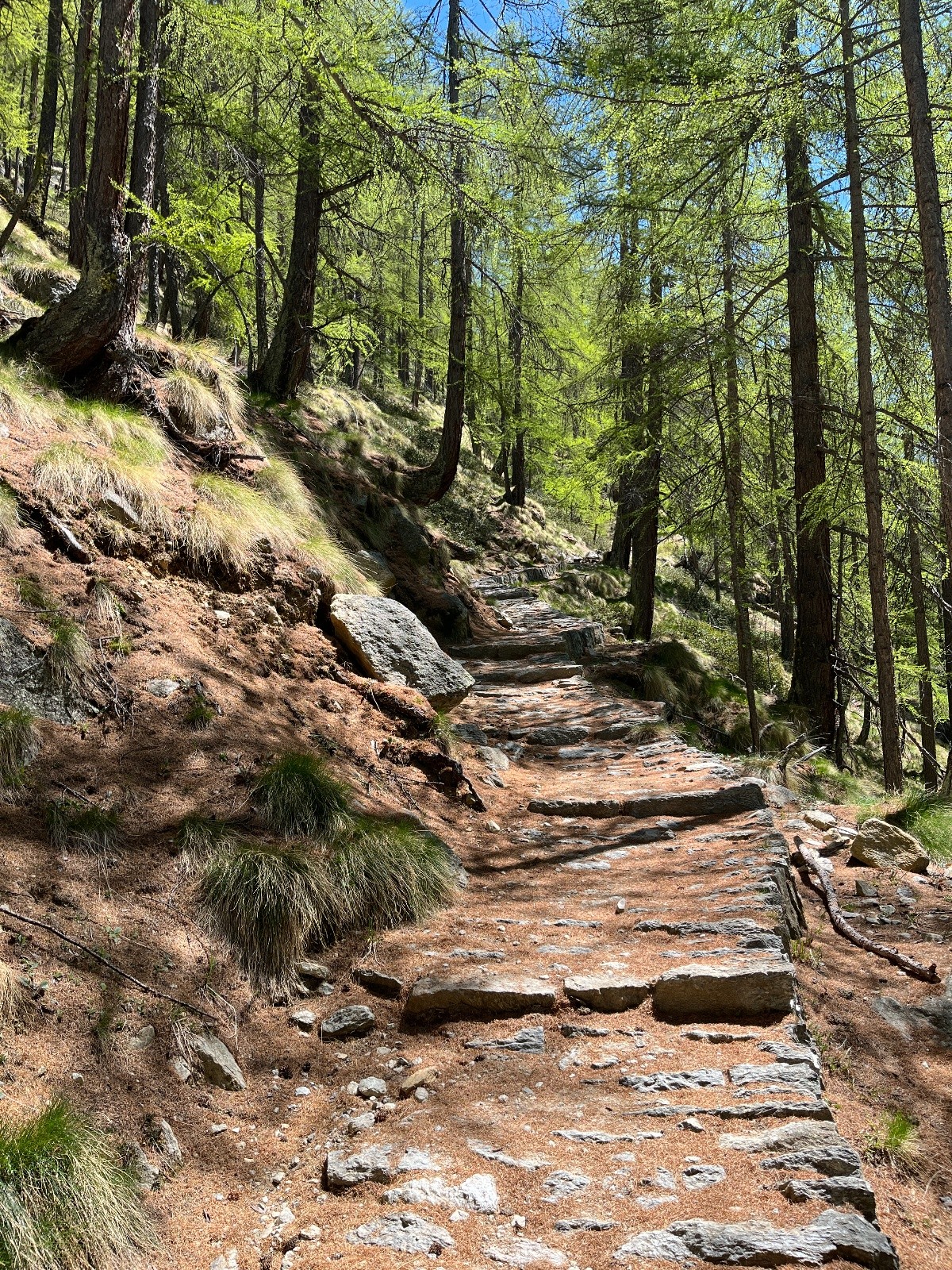 Le chemin pour le refuge, magnifique