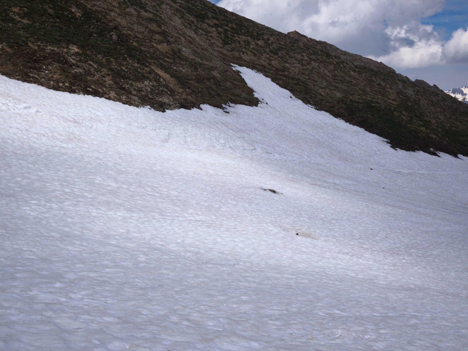 #3 Une petite marmotte encore Une petite marmotte encore