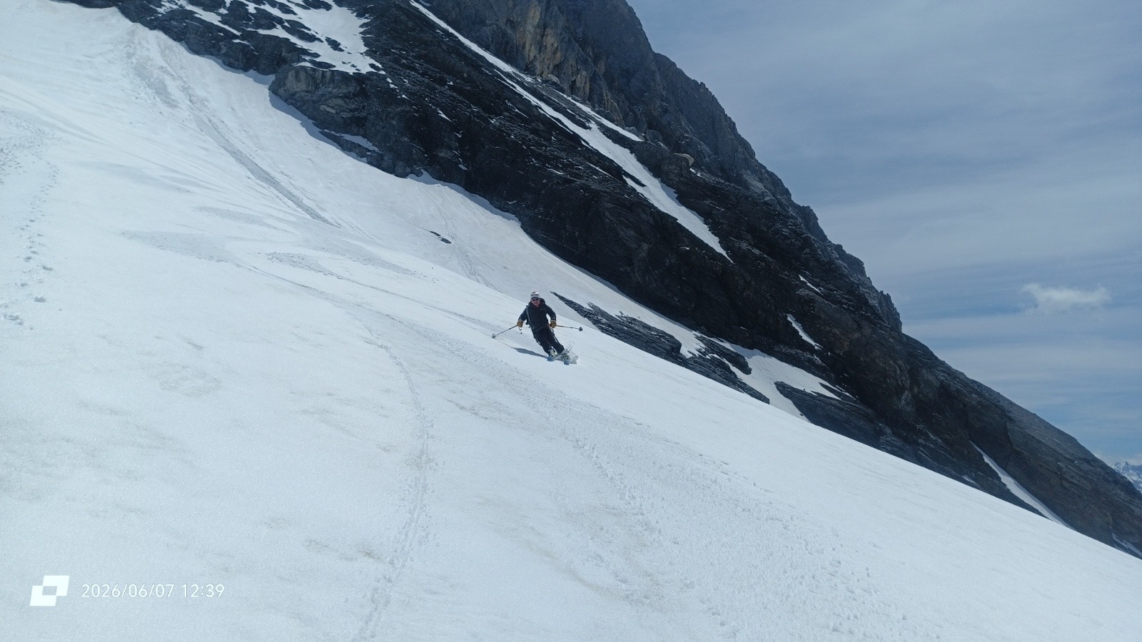 #24 Steph Steph'
