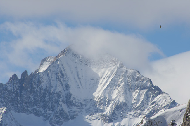 La dent Parachée : La magnifique face Nord-Est de la Dent Parachée, en montant au refuge. La tâche en haut à droite n'est pas une poussière, mais un gypahète barbu !