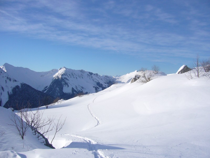 Mont de la Coche : Le plan Molard