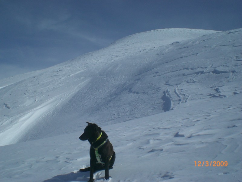 #4 Le versant N-W de la Lauze. : La crête de la Lauze apparaît comme un dôme et est bien visible du haut de Briançon et de la basse vallée de la Guisane. Le versant N-W de la Lauze. : La crête de la Lauze apparaît comme un dôme et est bien visible du haut de Briançon et de la basse vallée de la Guisane.