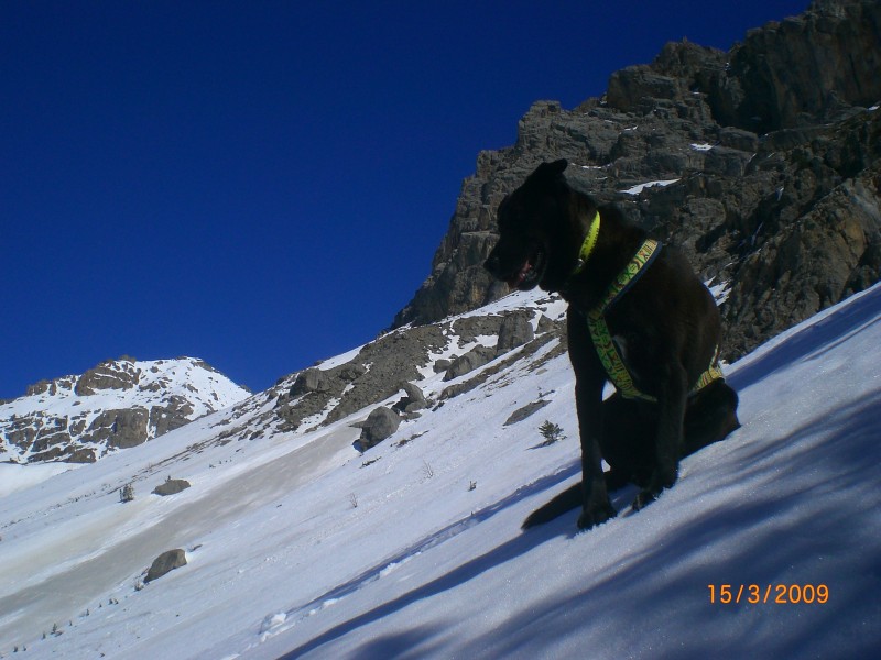 Versant S-W Tête Lauzières : Vue depuis le haut du ravin des Traversières.
A gauche on distingue la face sud du point 2877m.