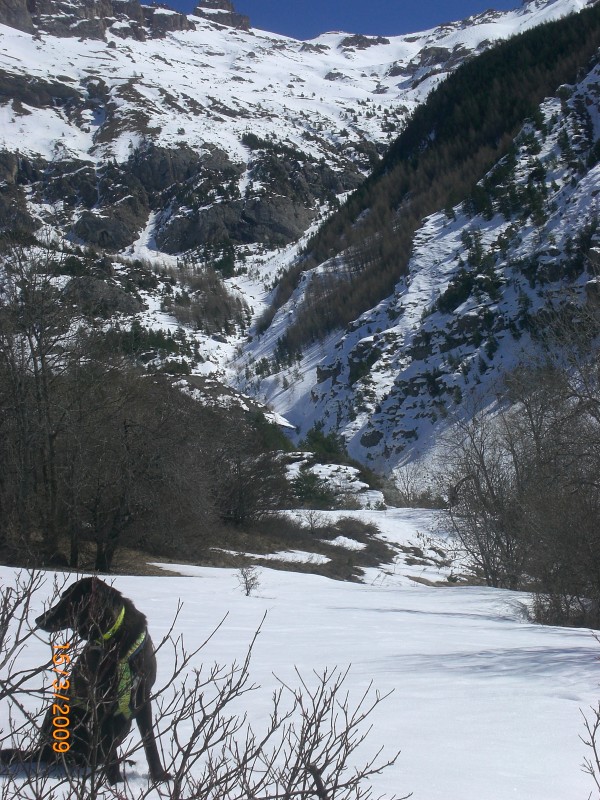 Torrent de la Juliane : le ravin du Réal débouche dans le bas du torrent de la Juliane. La rive gauche NW puis W garde bien la neige.
Actuellement, cette rive gauche permet même de descendre au fond de la vallée.