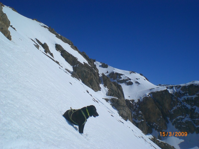 face sud sous point 2877m : Belle neige de printemps dans cette descente sous le point 2877. ( 450m de 35°)