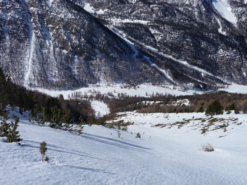 Dans la pente : La cime du mélézet dessus