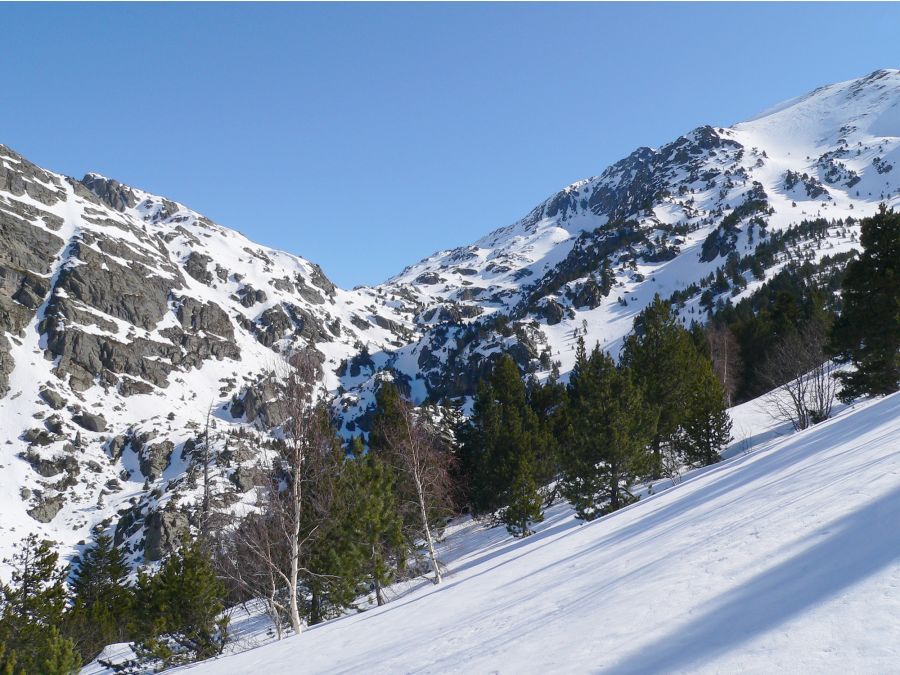 Pic de la Cabaneta : La montée en forêt, hors de l'itinéraire classique .